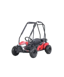 Coleman Powersports GK100 One-Seater Go Karts.