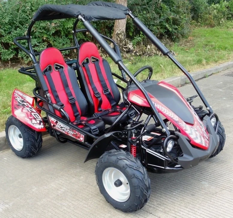 TrailMaster Blazer 200R Mid Go- Karts. - Image 4